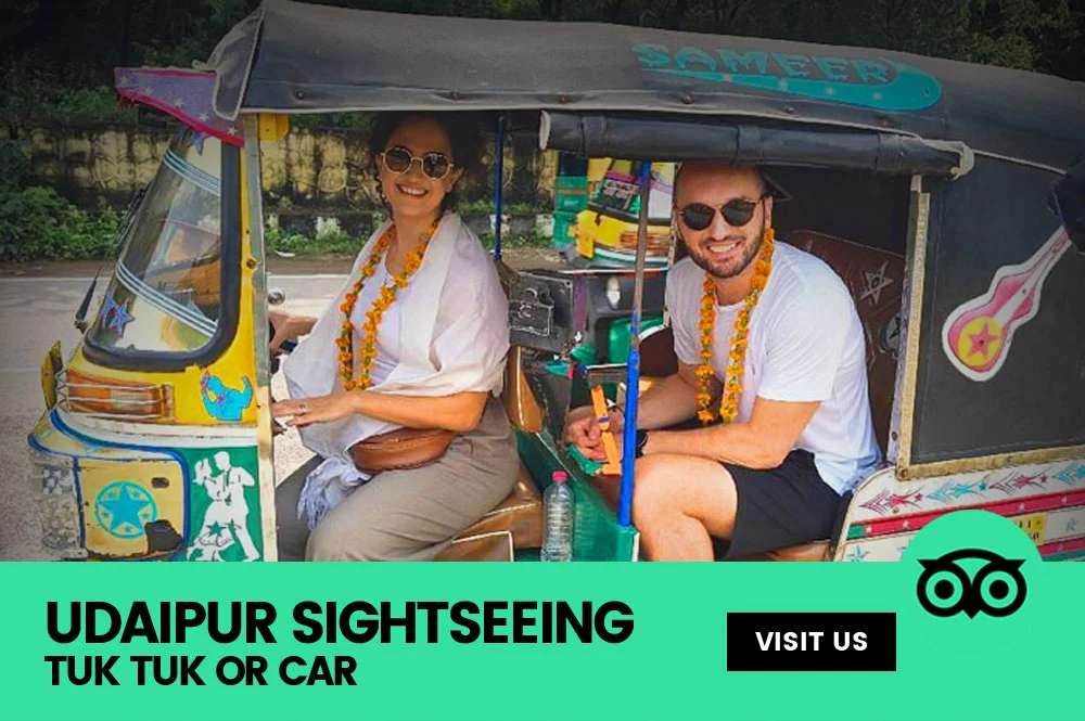 Udaipur sightseeing by tuk tuk or car